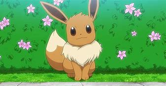 Image result for Adorable Eevee