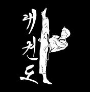 Image result for Taekwando Art