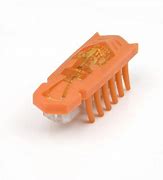 Image result for Hexbug Nano Old