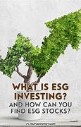 Image result for What Is ESG Investing