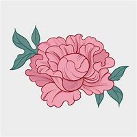 Image result for Peony Vector