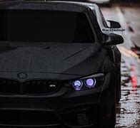 Image result for Drip Cat in BMW M4 PFP