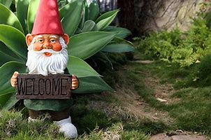 Image result for What Are Gnomes a Symbol Of