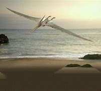 Image result for Pterosaur Beach