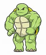 Image result for Turtle Muscle Growth