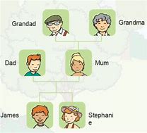 Image result for Small Family Tree Example