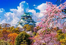 Image result for Japan Pp Puicture