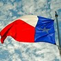 Image result for 9Mm Texas Flag Slide