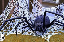 Image result for Spider Web Tarp Background