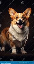 Image result for White and Tan Corgi