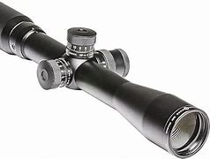 Image result for DMR Scope