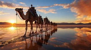 Image result for Camel Caravan Sphinx Wallpaper