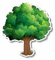 Image result for Tree Pictures Clip Art