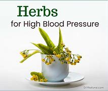 Image result for Herbal Medicine for High Blood Pressure