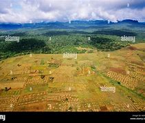 Image result for Africa Farmland