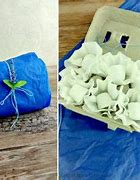 Image result for Reuse Egg Cartons