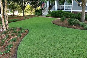 Image result for Zoysia Grass Lawn