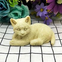 Image result for Silicone Cat