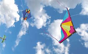 Image result for Mex Kites