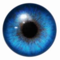 Image result for Eye Red Eyes Texture