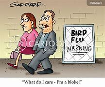 Image result for Bird Flu Cartoons Pics