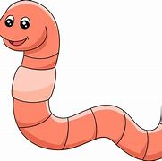 Image result for Small Worm Images