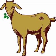 Image result for Goat in Fance