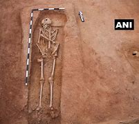 Image result for Oldest Human Remains