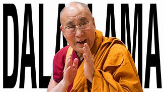 Image result for Lama Pictures