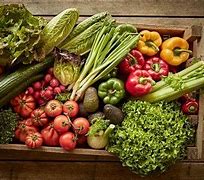 Image result for Eat Organic Food