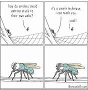 Image result for Fly Meme