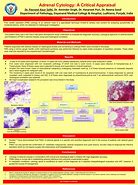 Image result for Adrenal Cytology