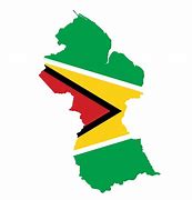 Image result for Guyana Flag Outline