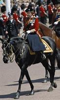 Image result for Queen Elizabeth Side Saddle