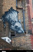 Image result for Rat Graffiti