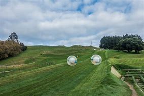 Image result for Ogo Rotorua