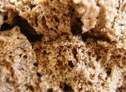 Image result for Donut Texture Map