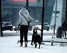 Image result for Finland Helsinki Snowy