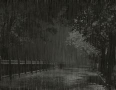 Image result for Rain Gifs Monochrome