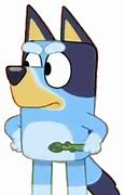 Image result for Bluey Bingo Angry