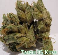 Image result for Tahoe OG Kush