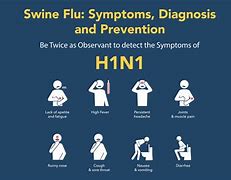 Image result for Pig Flu Symptoms