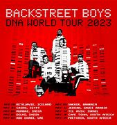 Image result for Backstreet Boys Reunion Tour