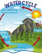 Image result for Water Cycle Illustration