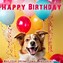 Image result for Birthday Wishes Greetings