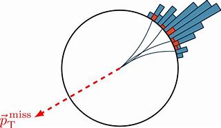 Image result for Transverse Plane