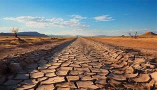 Image result for Dry Desert Land