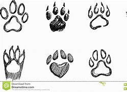 Image result for Cat Paw Print Drawing