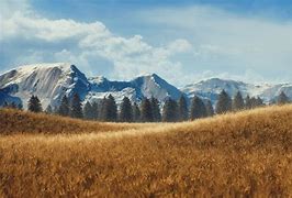 Image result for Grassland Environment