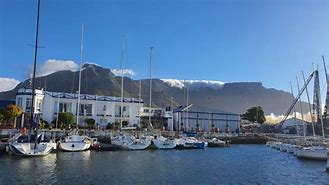 Image result for Royal Cape Yacht Club